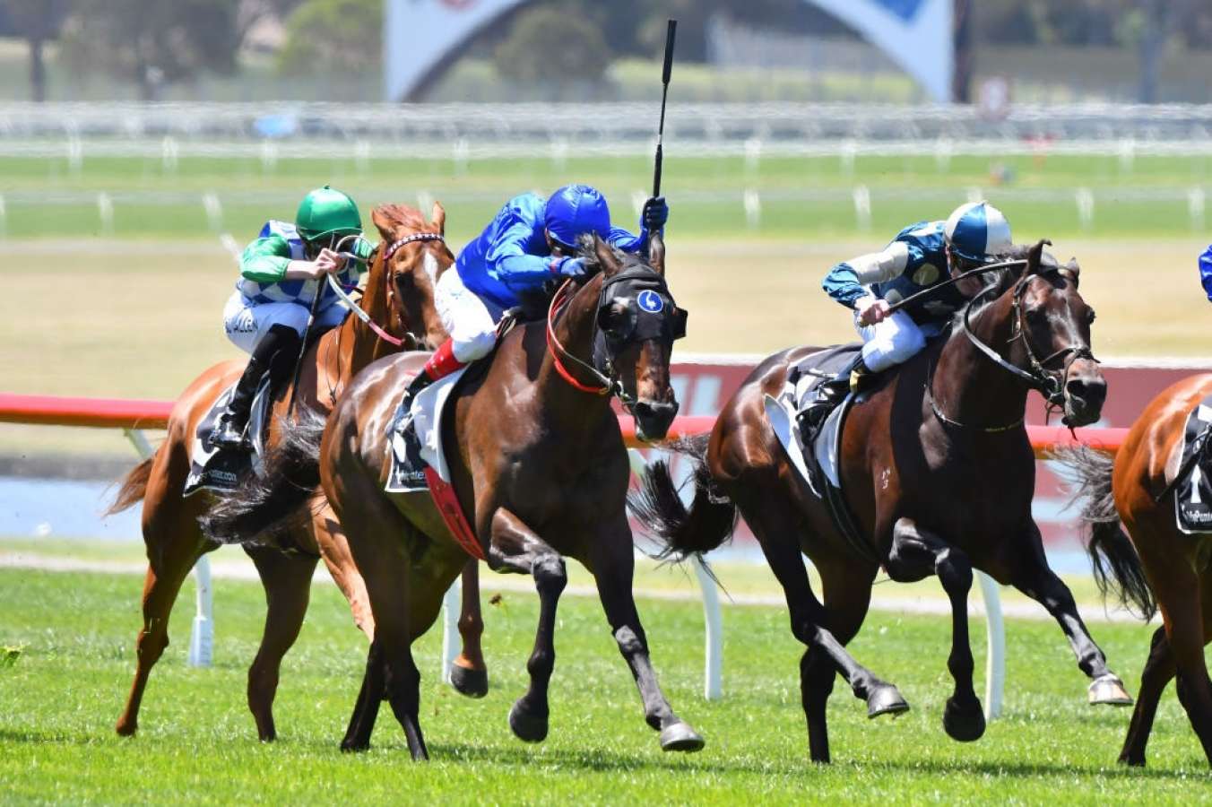 FREE: Sandown Tip Sheet & Staking Plan: Saturday 15th June Image