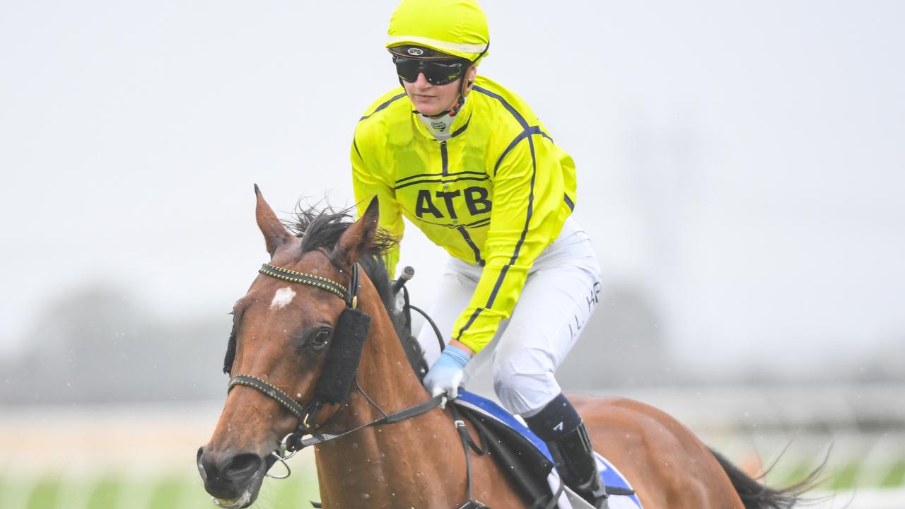 Sirius Suspect primed for Standish Handicap Image