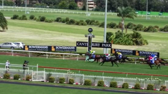 Canterbury Tip Sheet & Staking Plan: Wednesday 5th May Image