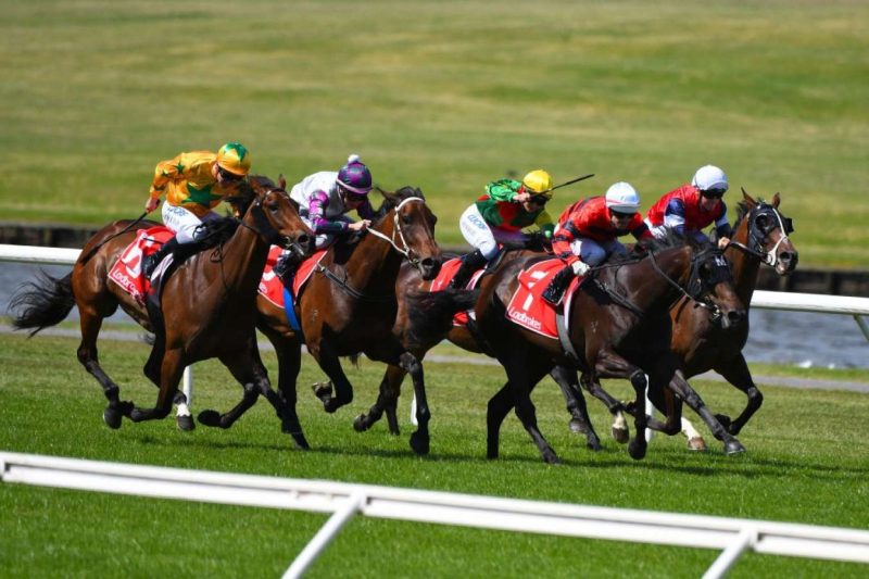 FREE: Sandown Lakeside Tip Sheet & Staking Plan: Wednesday 7th February Image