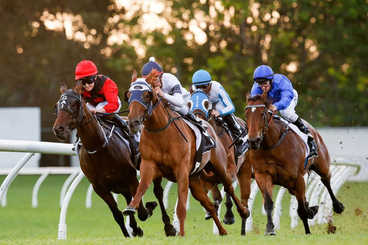 FREE: Canterbury Tip Sheet & Staking Plan: Wednesday 6th August Image