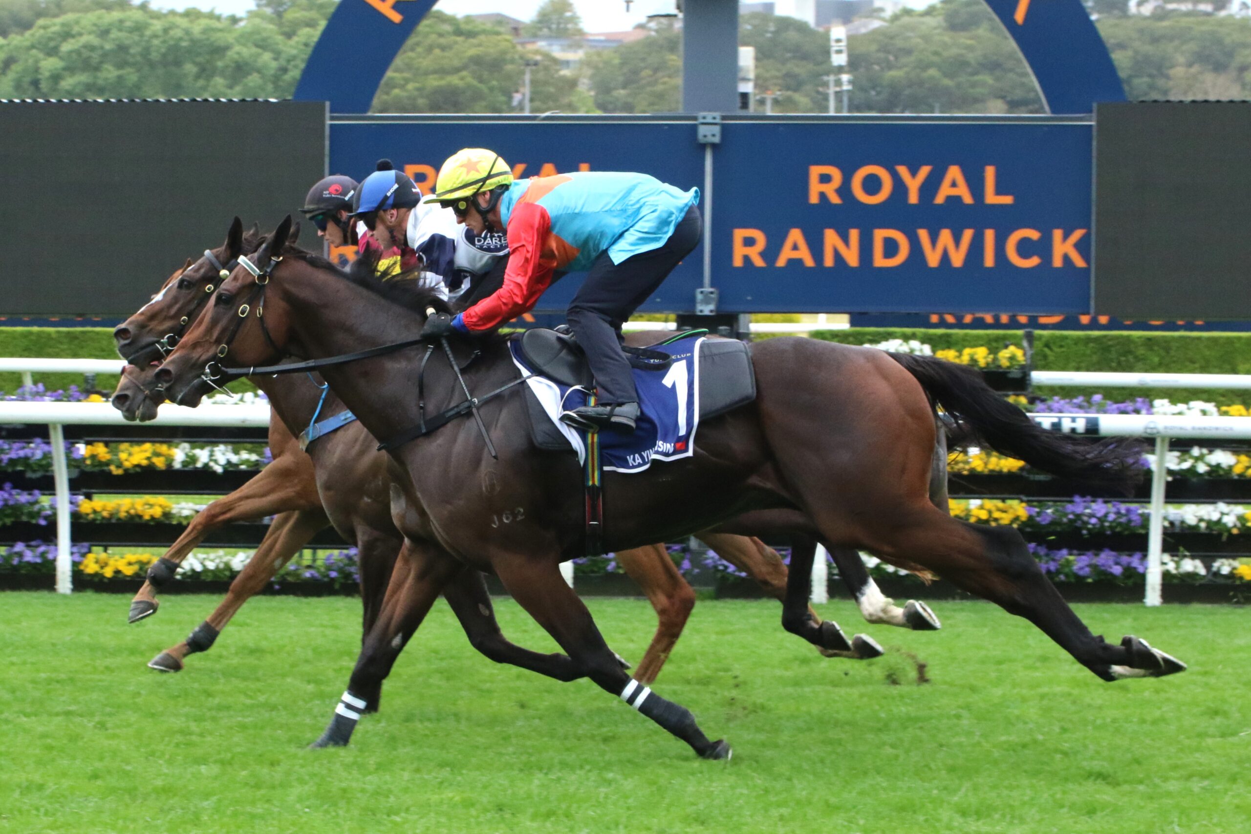 RACING: Randwick Tips - Saturday 18th October Image