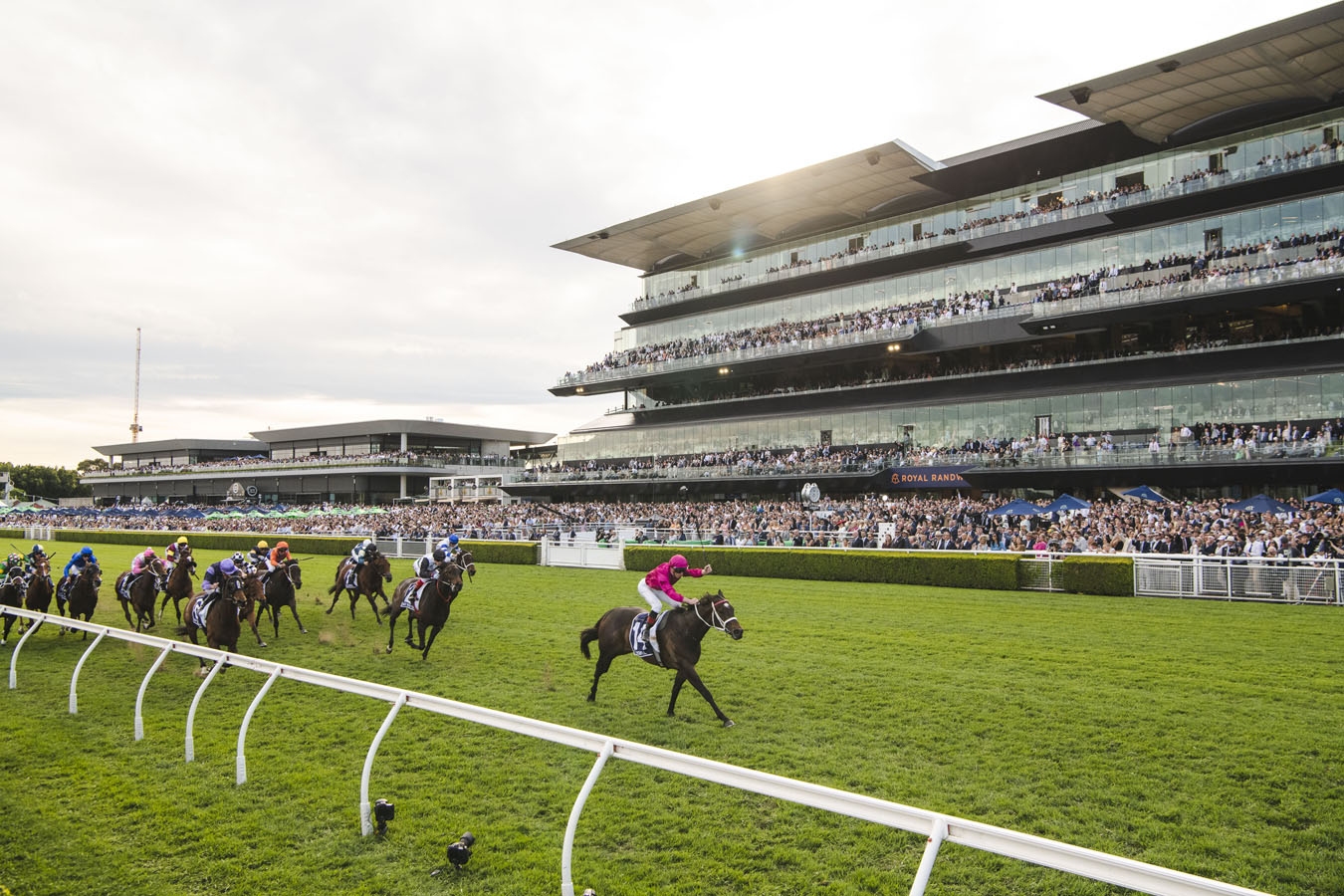 RACING: Randwick Tips - Saturday 9th August Image