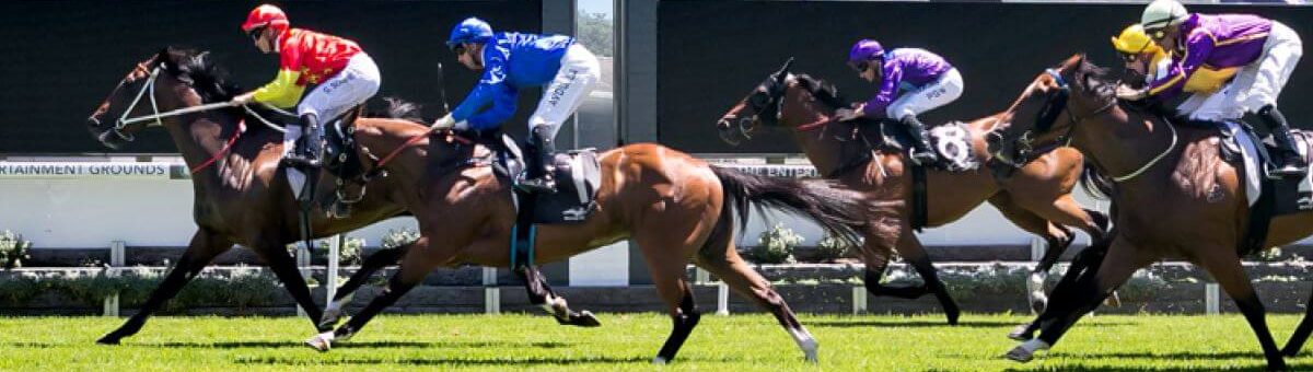 RACING: Gosford Tips & Staking Plan: Saturday 10th May Image