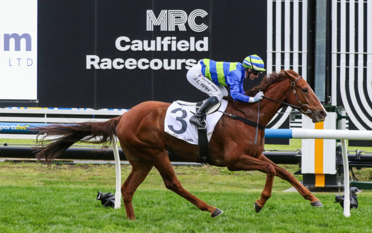 FREE: Caulfield Tip Sheet & Staking Plan: Saturday 5th April Image