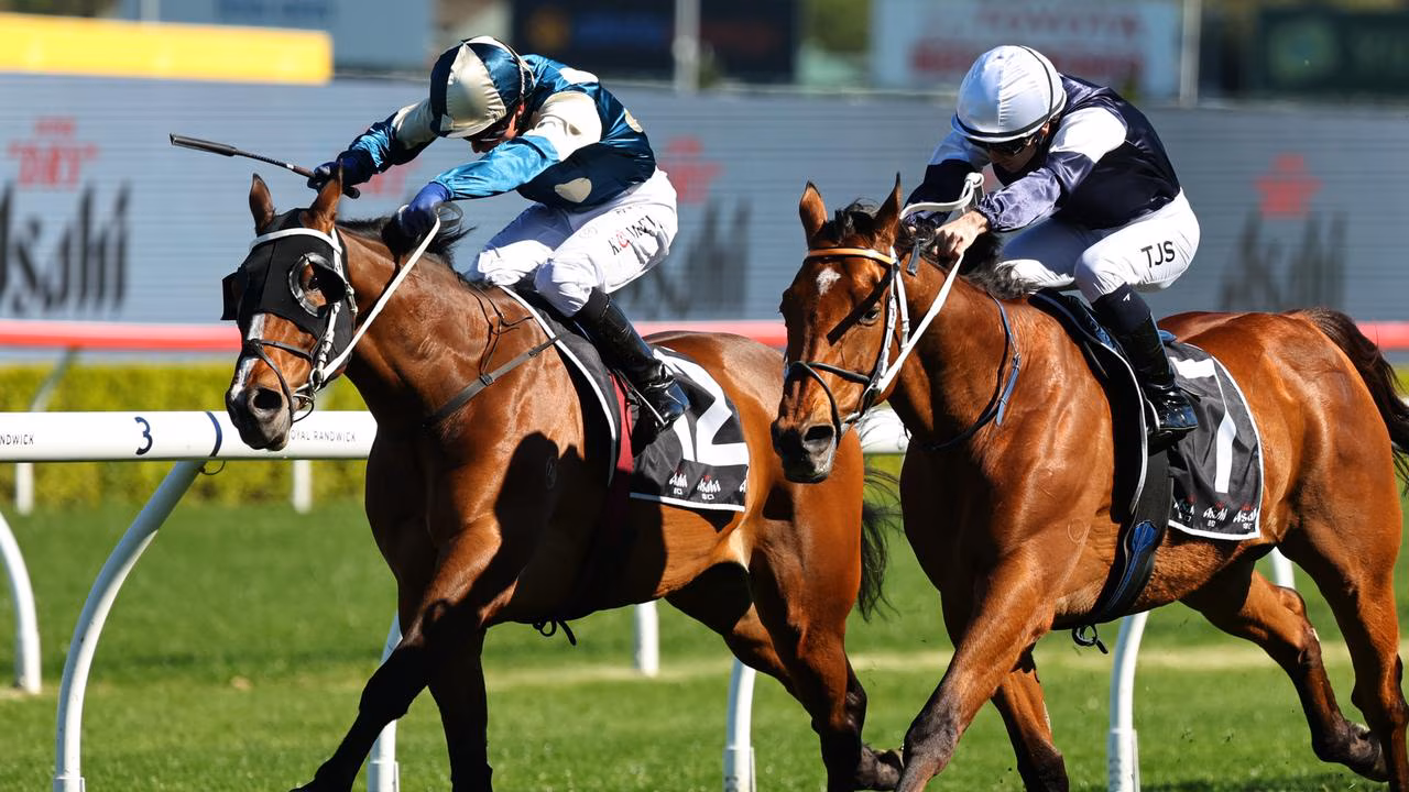 The Metropolitan: Every Runner Breakdown, Tips, and Predicted Finishing Order Image