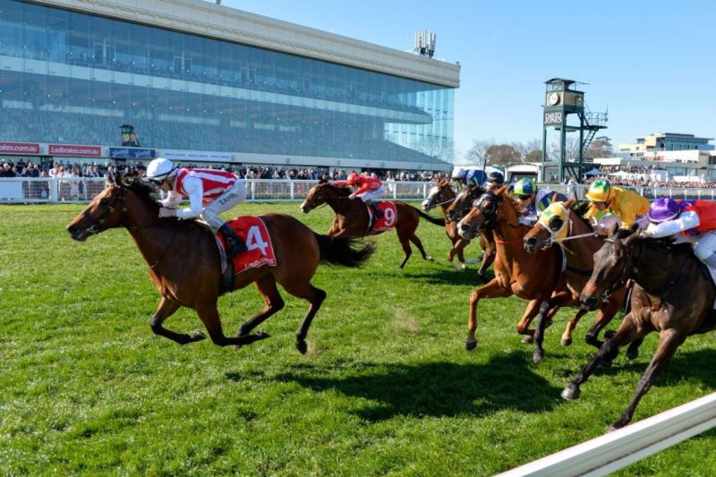 RACING: Long Shots To Follow At Caulfield 11/10 Image