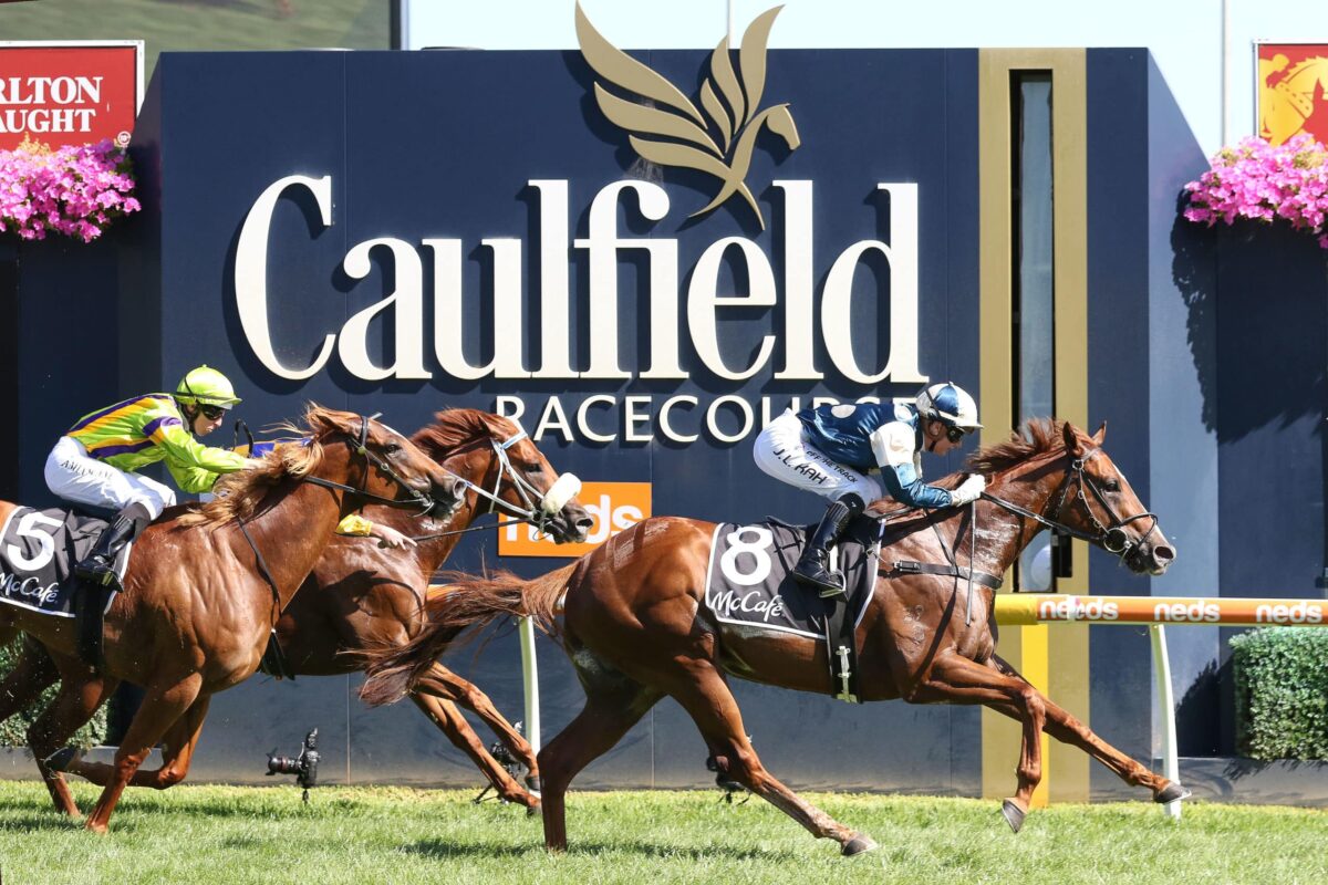 RACING: Caulfield Tips - Saturday 15th November Image