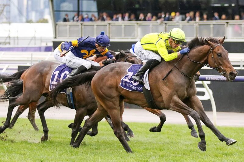 RACING: Saturday Specials 13/9 Image