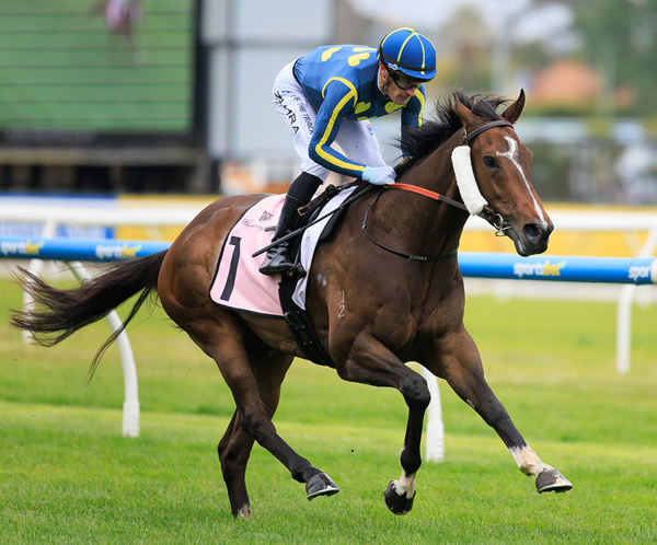 TALENTED STAYERS SET FOR NEXT SPRING Image