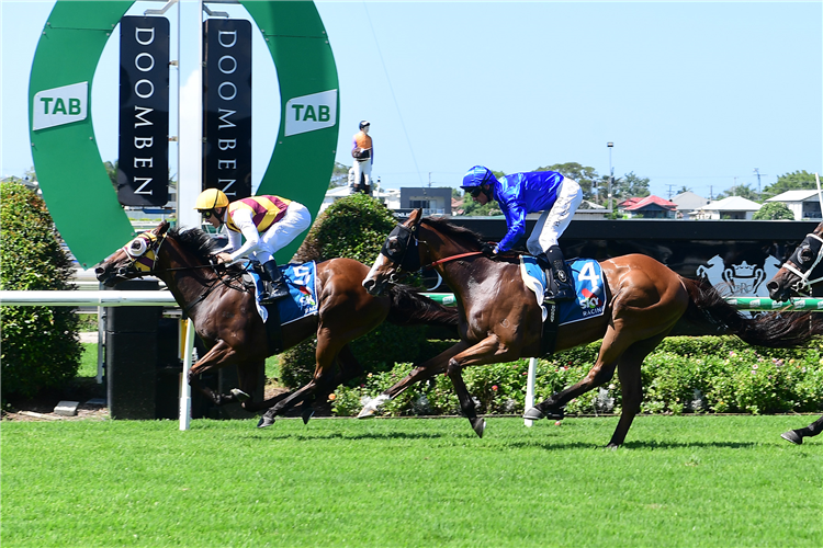 Racing Market Movers: Which Horses Have Been Backed This Wednesday 11/6 Image