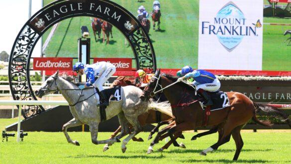 Rated To Win: A Horse We Rated Ready To Win – Eagle Farm 31/5 Image