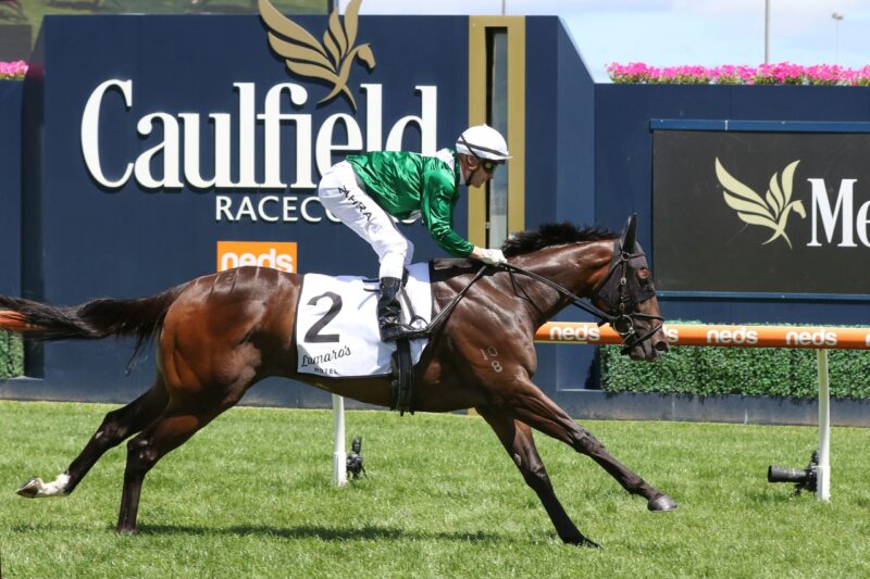 RACING: G1 Memsie Stakes Selections 30/8 Image