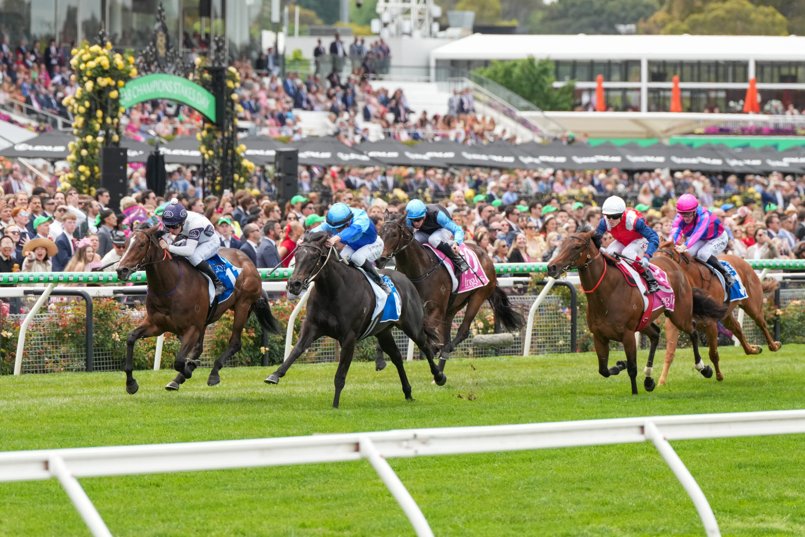 RACING: Champions Stakes Best Selection & Value Play Image