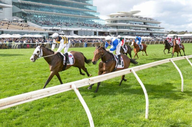 FREE: Flemington Tip Sheet & Staking Plan: Saturday 1st March Image