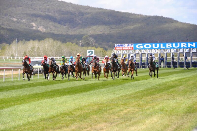 Today's Racing Tips - Goulburn 30/5 Image