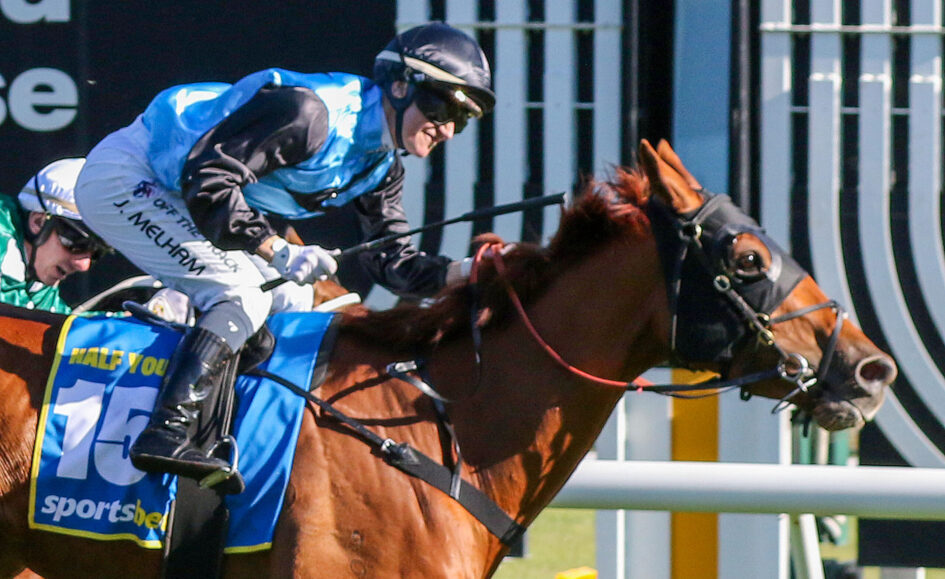 2025 Caulfield Cup Review: What The Jockeys Said Image