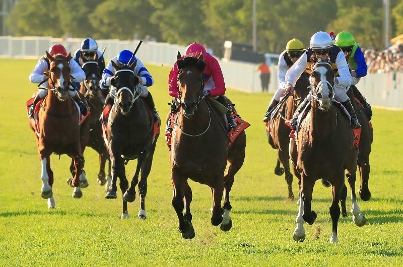 RACING: Hawkesbury Tips & Staking Plan: Saturday 3rd May Image