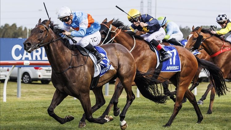RACING: Kembla Grange Best Selections 17/7 Image