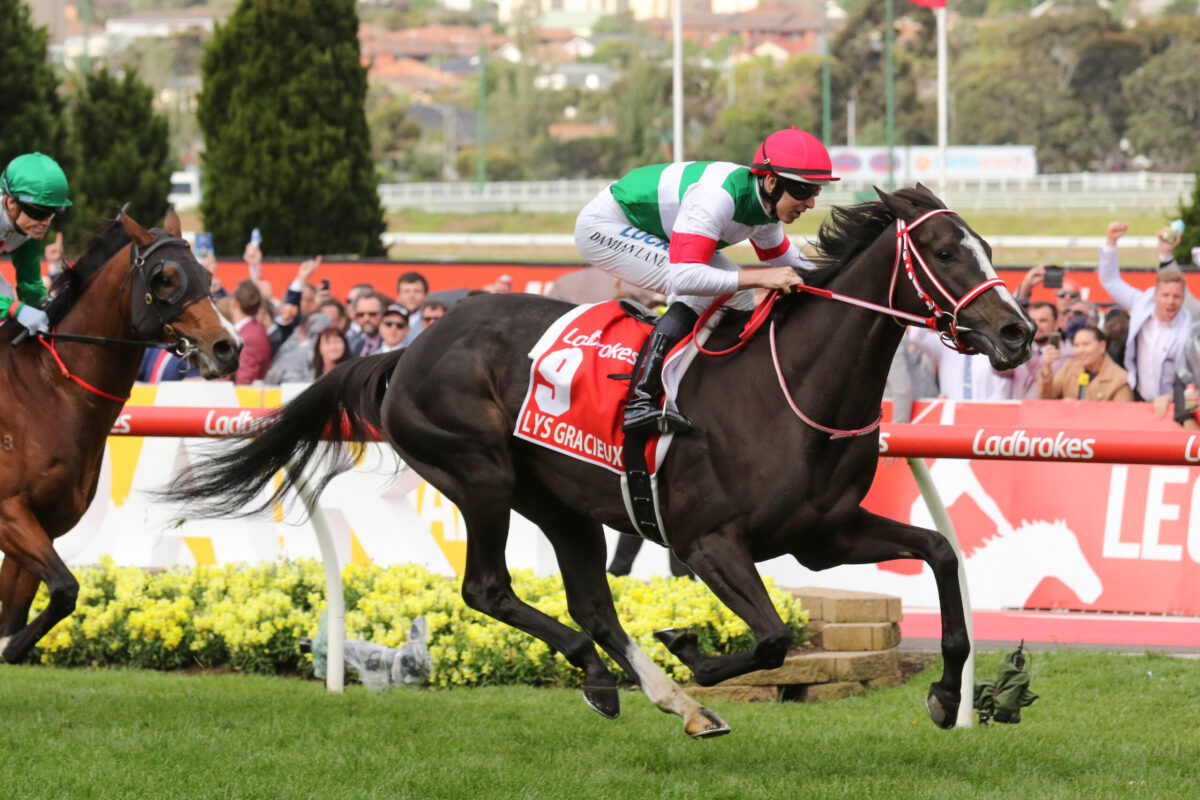 RACING: Value Runners To Follow At Moonee Valley 25/10 Image