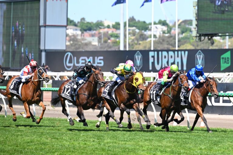 2025 Melbourne Cup Best Selection & Value Play Image