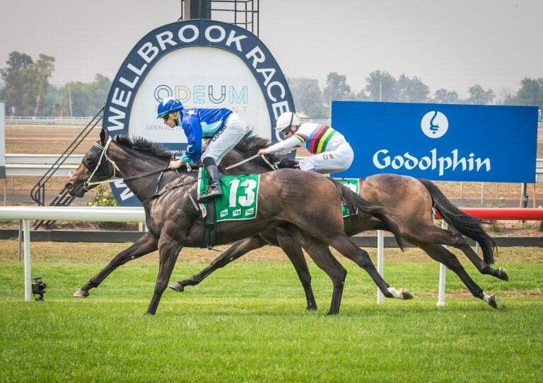 Racing Tips: Our Muswellbrook Specials 26/7 Image