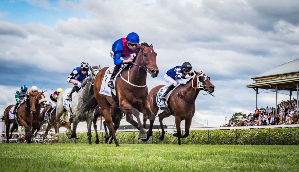 RACING: Newcastle Play Of The Day 7/10 Image