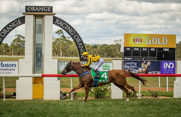 Today's Racing: Orange Best Selection Image