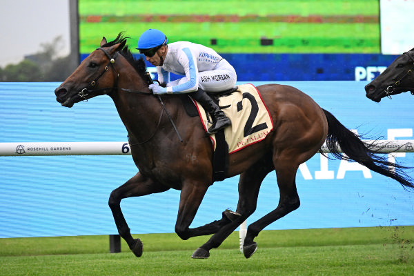 Will Yu Long Investments Stick With Private Harry For The Everest? Image