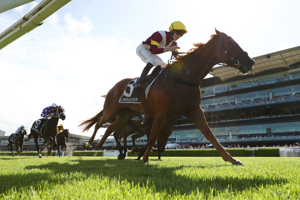 RACING: Rosehill Tips - Saturday 4th October Image