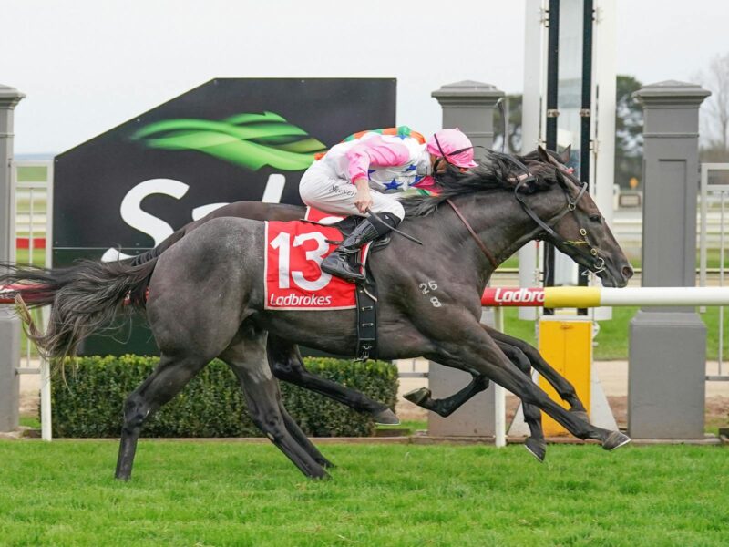 Racing Tips: Our Sunday Special 6/7 Image