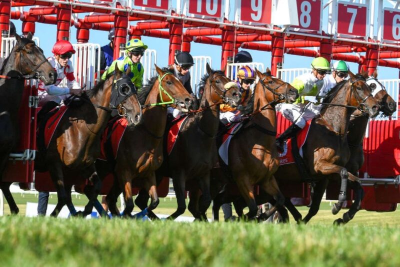 RACING: Sandown & Warwick Farm Tips From The Vault 24/9 Image