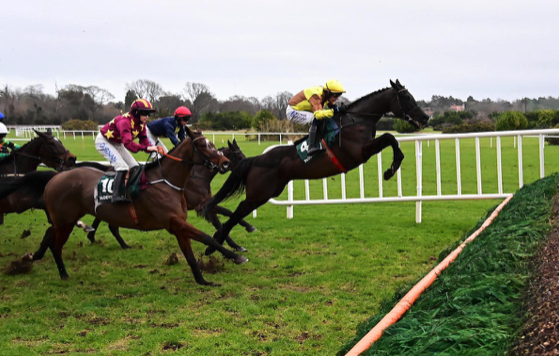 Cheltenham Punters Look to Mullins as Festival Looms Image