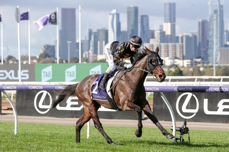 RACING: Flemington Best Selection & Value Play 1/11 Image