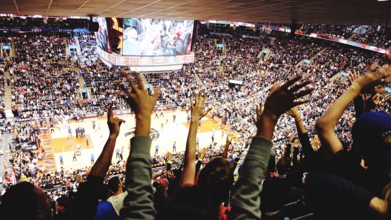 How Sports Fans Engage with Modern Platforms: The Rise of Online Sports Communities Image