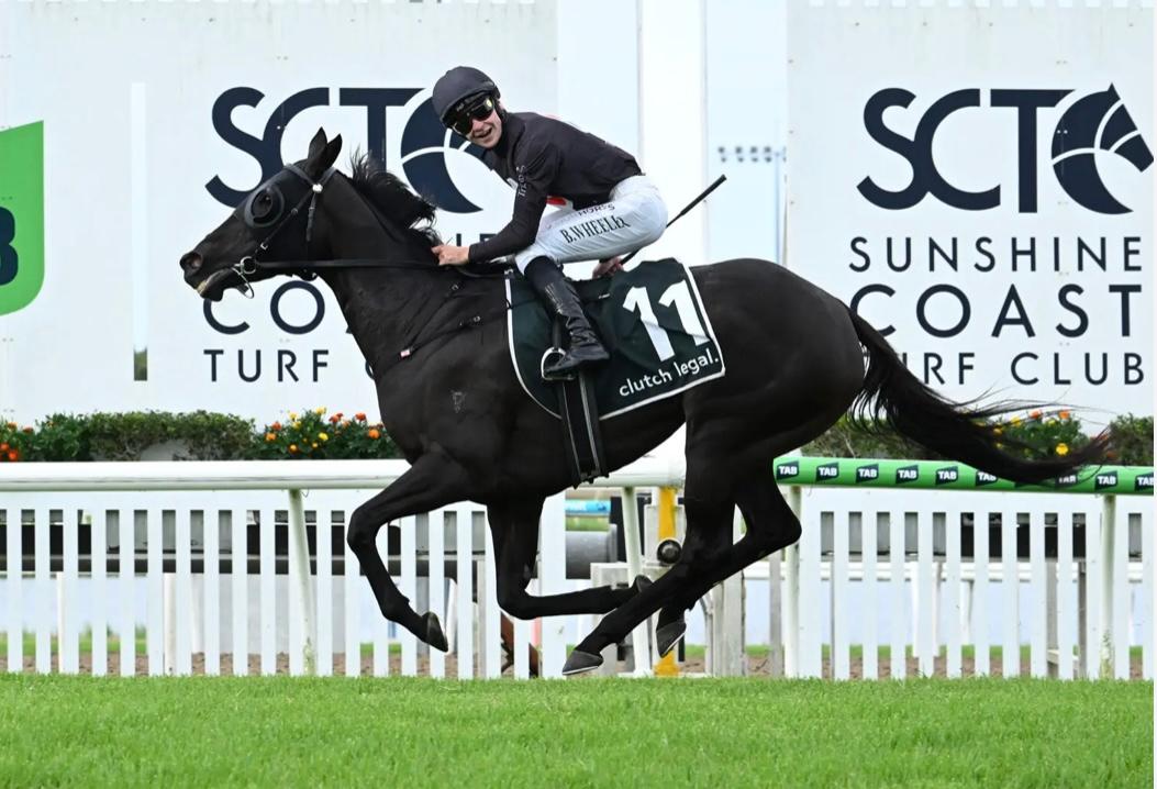 $360 To Be Won In Sunshine Coast Tipping Competition Image