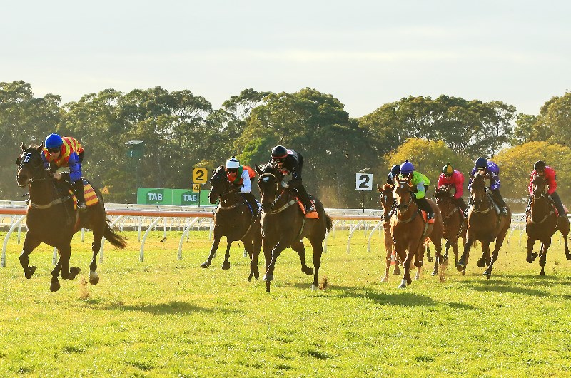 Trial Review: Horses That Caught The Eye At The Trials This Week 16/9 Image