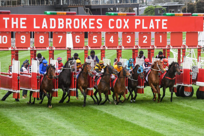 RACING: Long Shots To Follow At Moonee Valley 23/8 Image