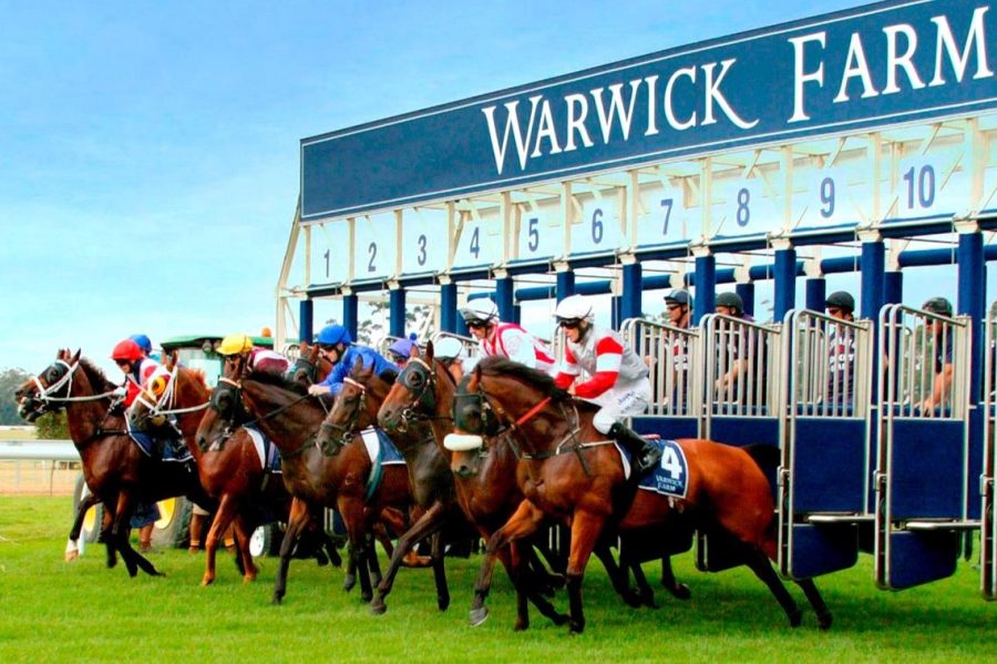 Black Book: Horses You Must Back Next Start From Warwick Farm 3/9 Image