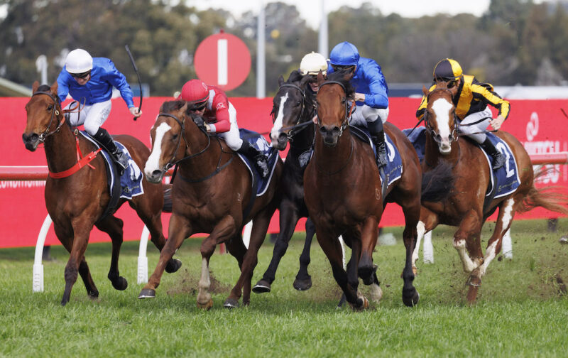 Black Book: Horses You Must Follow From Rosehill 14/6 Image