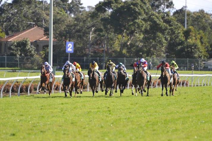 Black Book: Horses You Must Back Next Start From Canterbury 17/9 Image