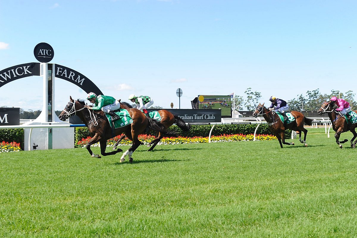 RACING TIPS: Warwick Farm Best Selection & Value Play 22/10 Image