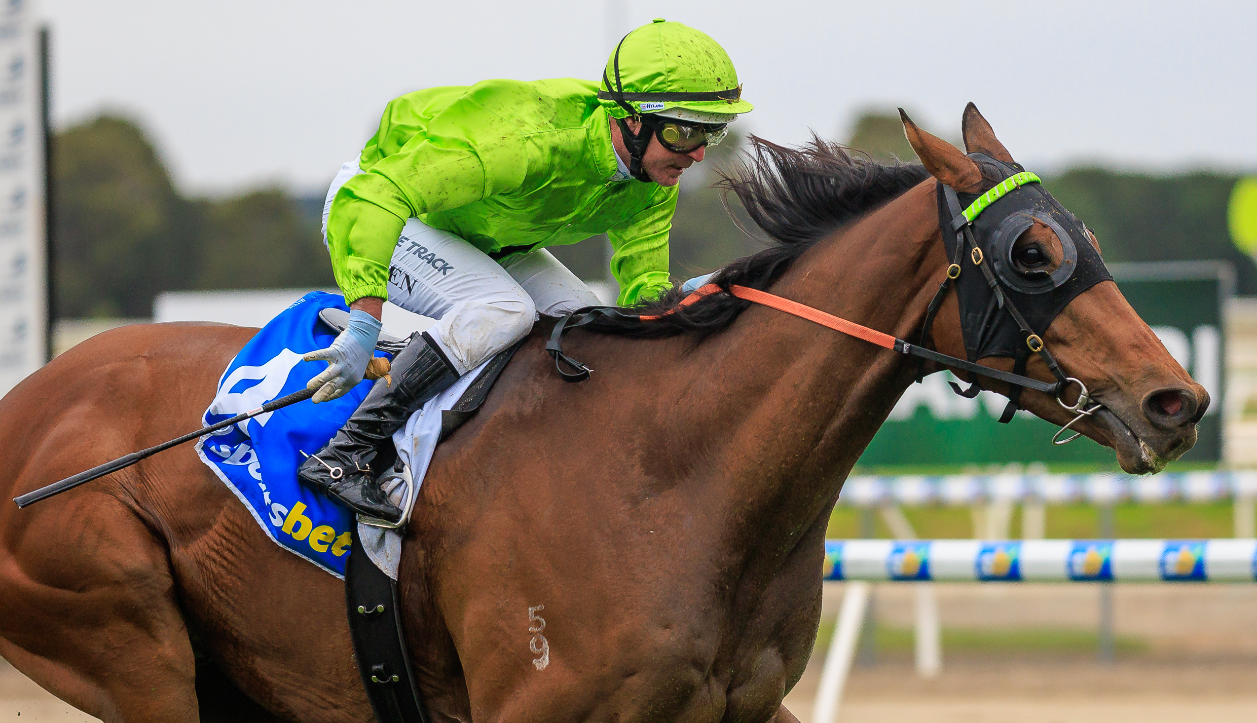 BERKELEY’S BACK AT BALLARAT Image