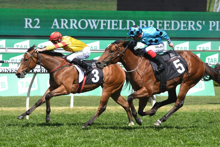 G3 Breeders' Plate Preview & Analysis Image