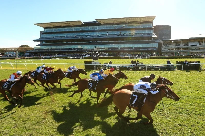 RACING TIPS: Kensington Best Selection & Value Play 21/1 Image