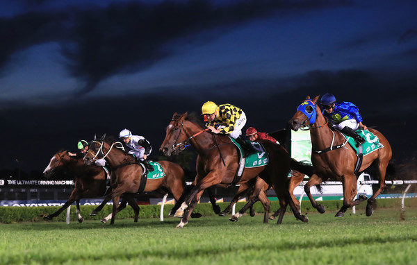 Black Book: Horses You Must Back Next Start From Canterbury 30/1 Image