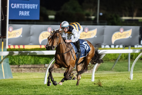 RACING TIPS: Canterbury Best Selection & Value Play 1/1 Image