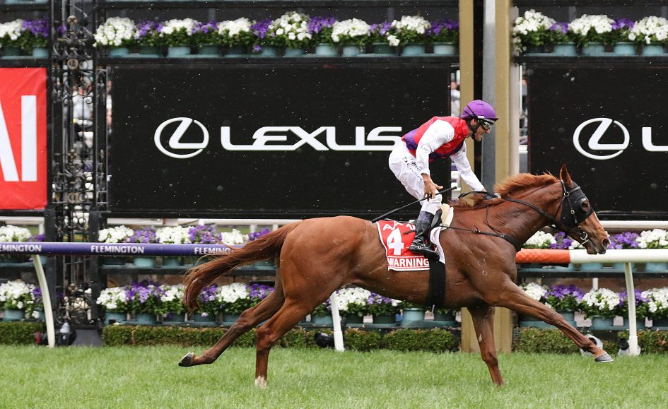 Victoria Derby Review: What The Jockeys Said Image