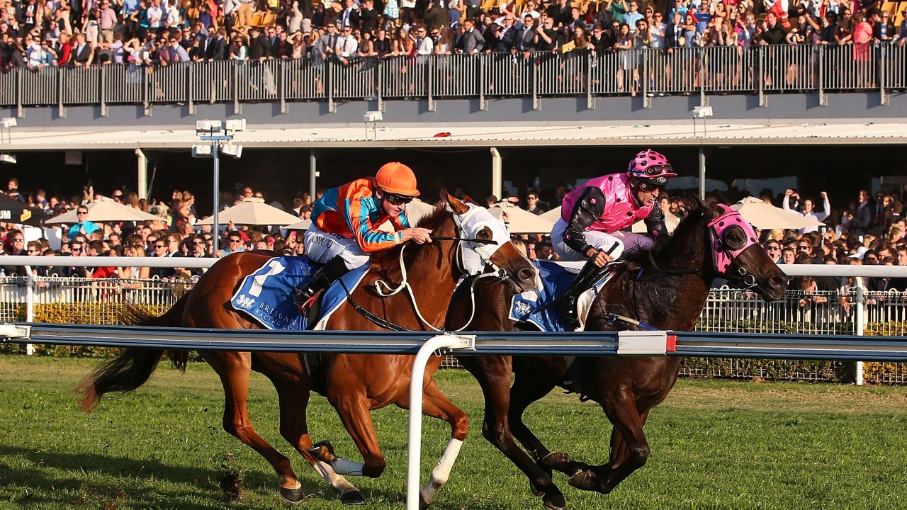FREE: Doomben Tip Sheet & Staking Plan - Saturday 20/06 Image