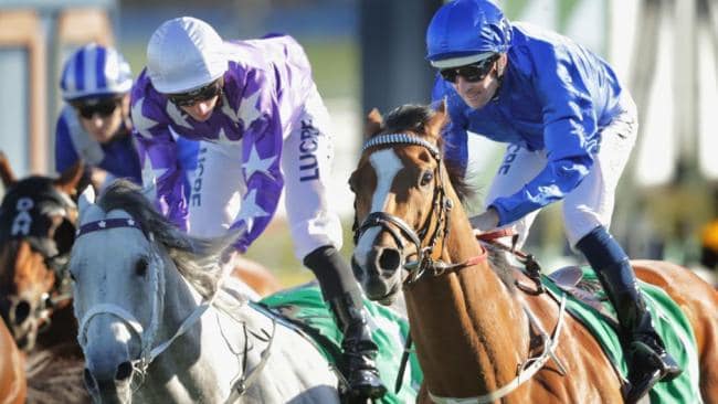 G1 Epsom Handicap Preview & Analysis Image